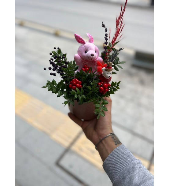 Pembe Ayıcık Kokina 