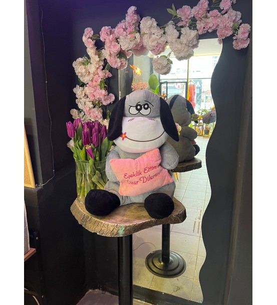 Özür Dilerim Eşek 1,20 Cm